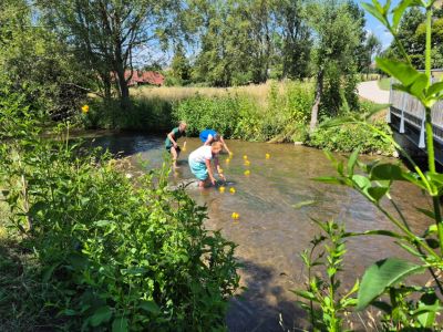 Sommerfest – Bild 5